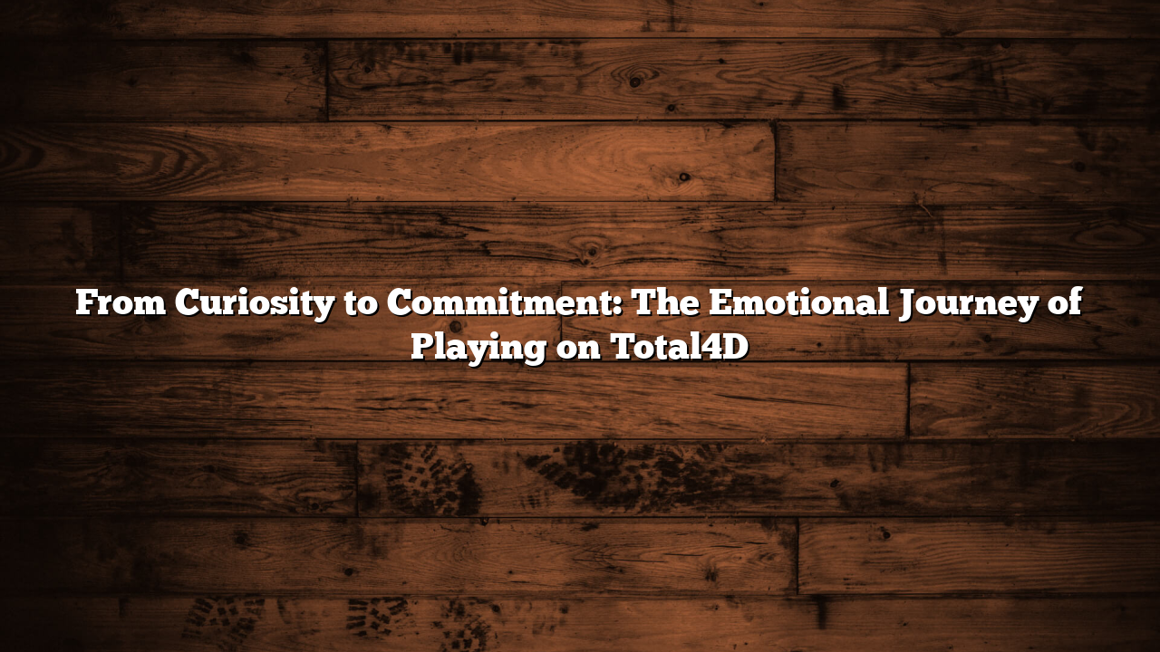 From Curiosity to Commitment: The Emotional Journey of Playing on Total4D